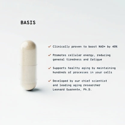 Basis